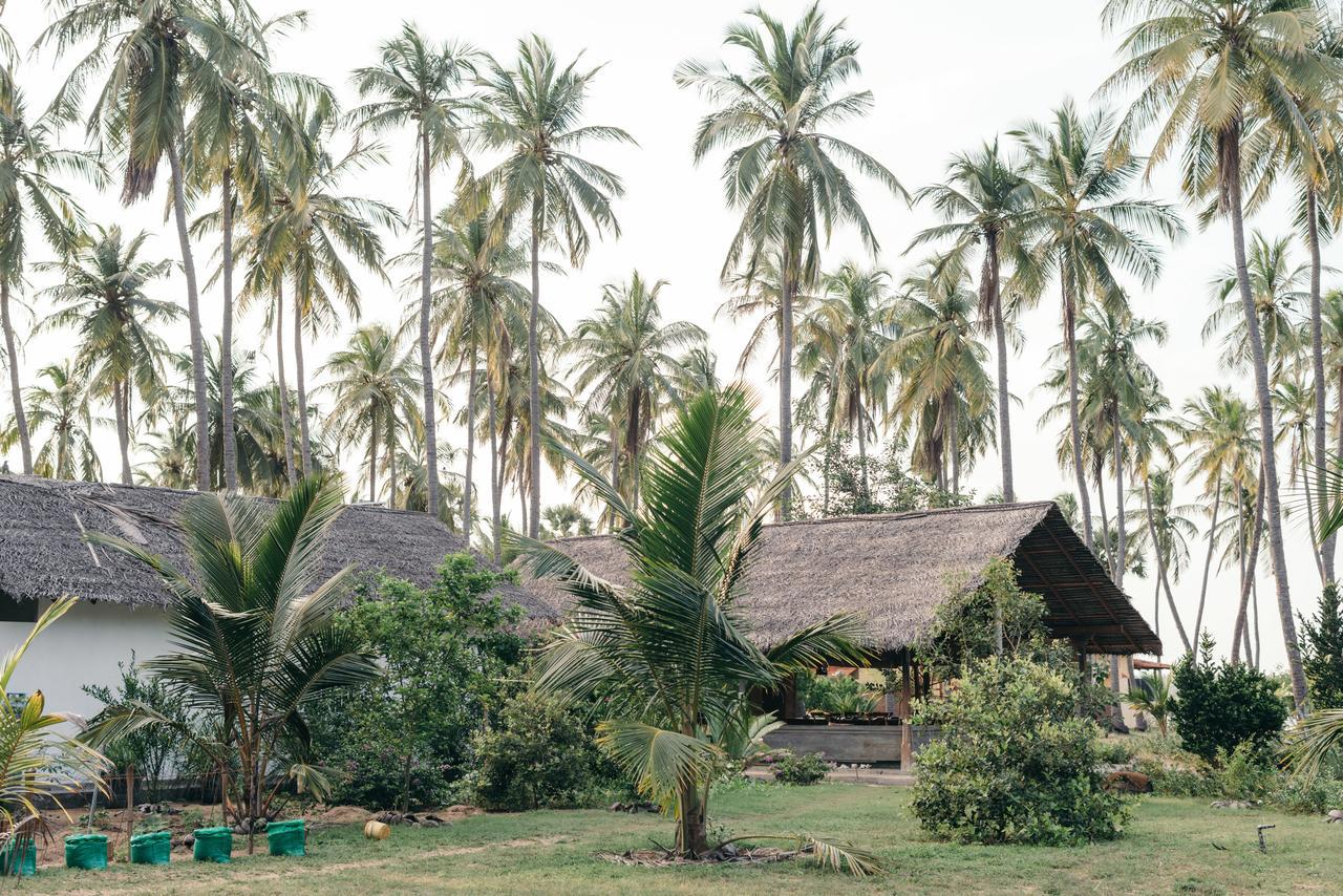 Luna Laguna Kalpitiya Luaran gambar